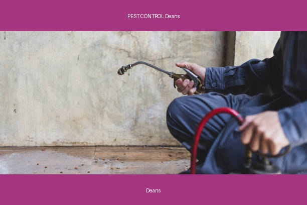PEST CONTROL Deans